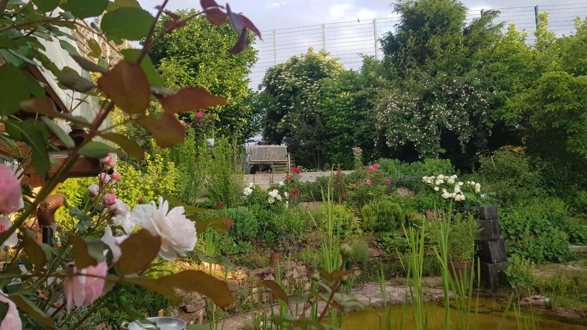 Wohnung Mit Sauna, Garten & Schwimmteich 비트그하임-비징엔 외부 사진
