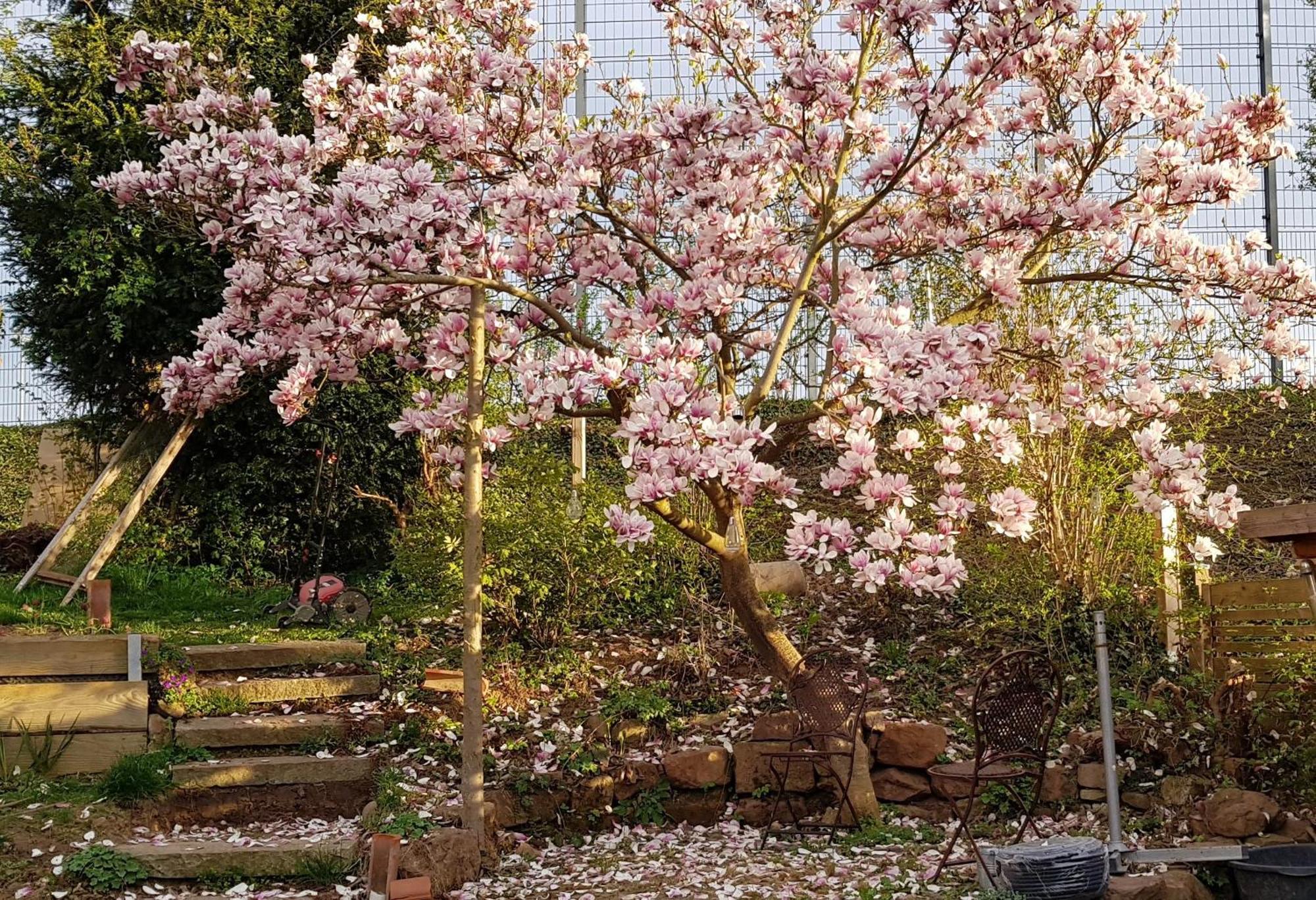 Wohnung Mit Sauna, Garten & Schwimmteich 비트그하임-비징엔 외부 사진